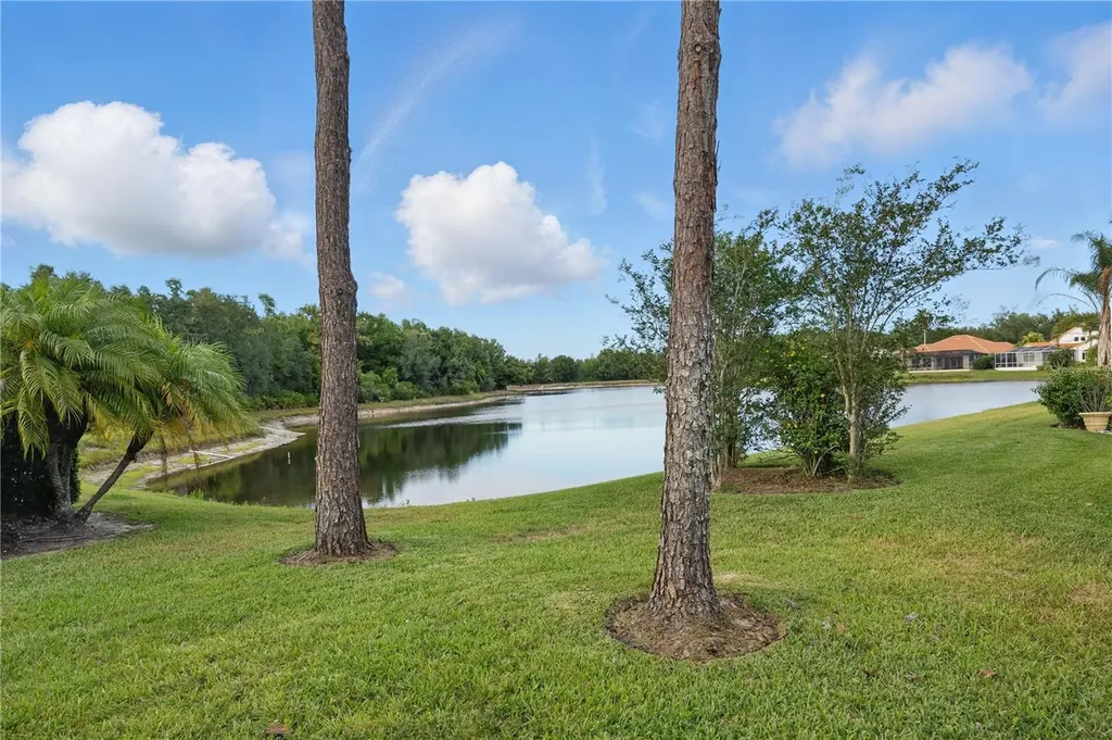 10232 Estuary Drive Tampa FL 33647