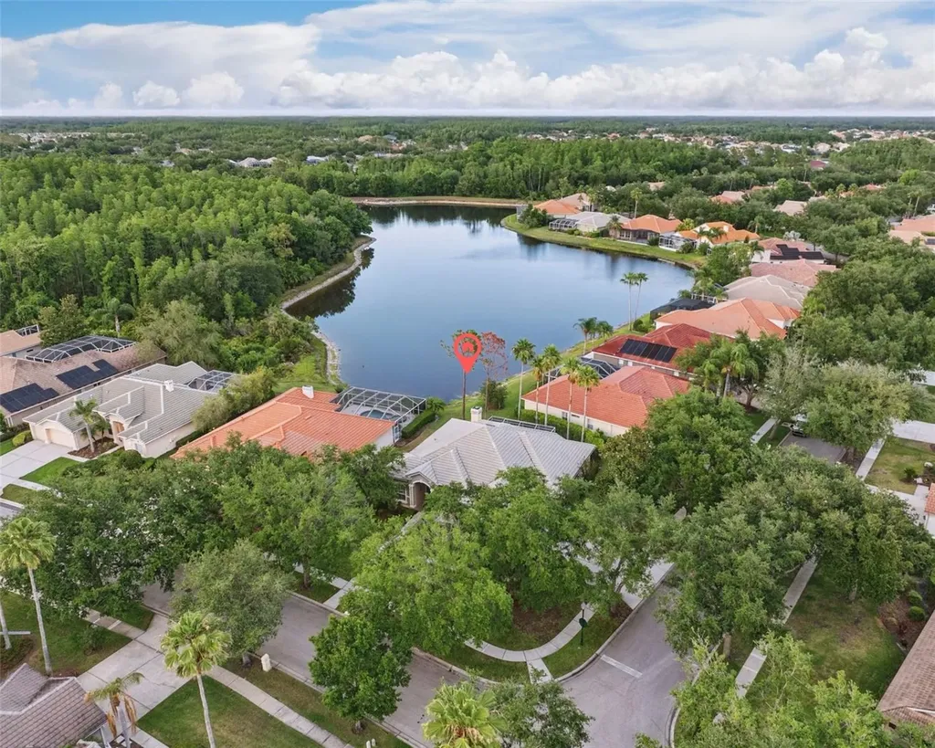 10232 Estuary Drive Tampa FL 33647