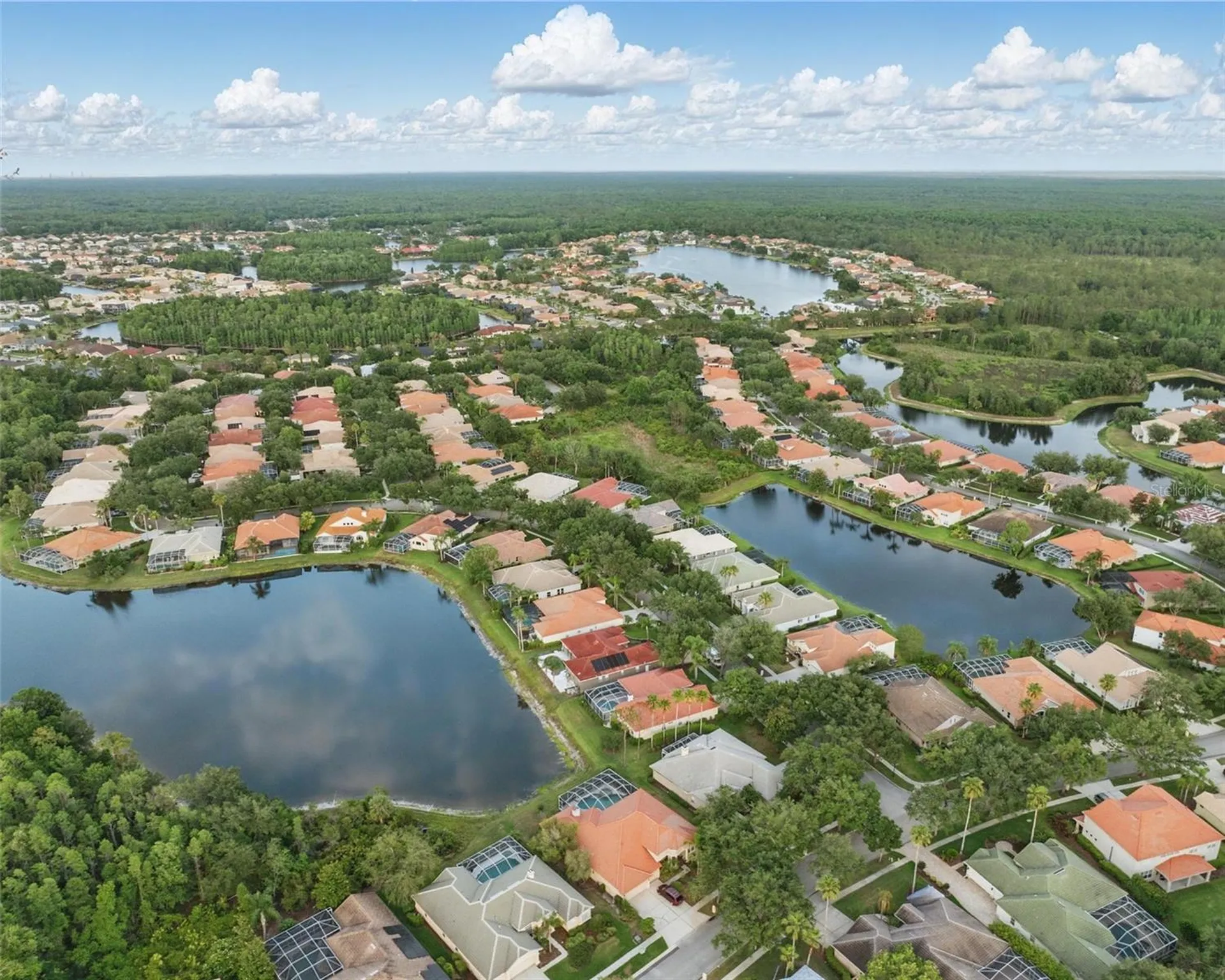 10232 Estuary Drive Tampa FL 33647
