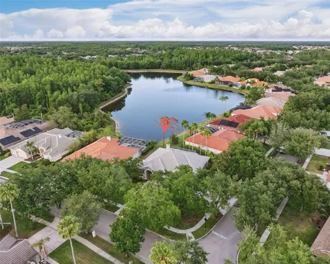 10232 Estuary Drive Tampa FL 33647