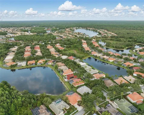 10232 Estuary Drive Tampa FL 33647