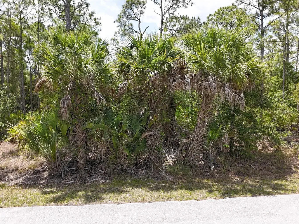 12226 Ripple Drive Punta Gorda FL 33955