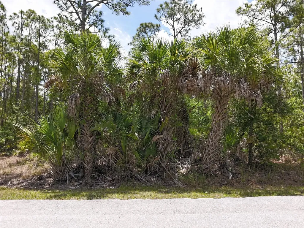 12226 Ripple Drive Punta Gorda FL 33955