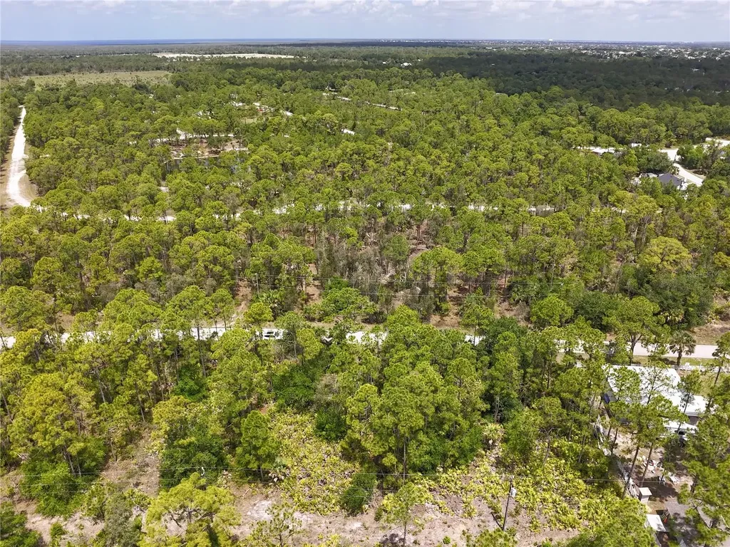 12226 Ripple Drive Punta Gorda FL 33955
