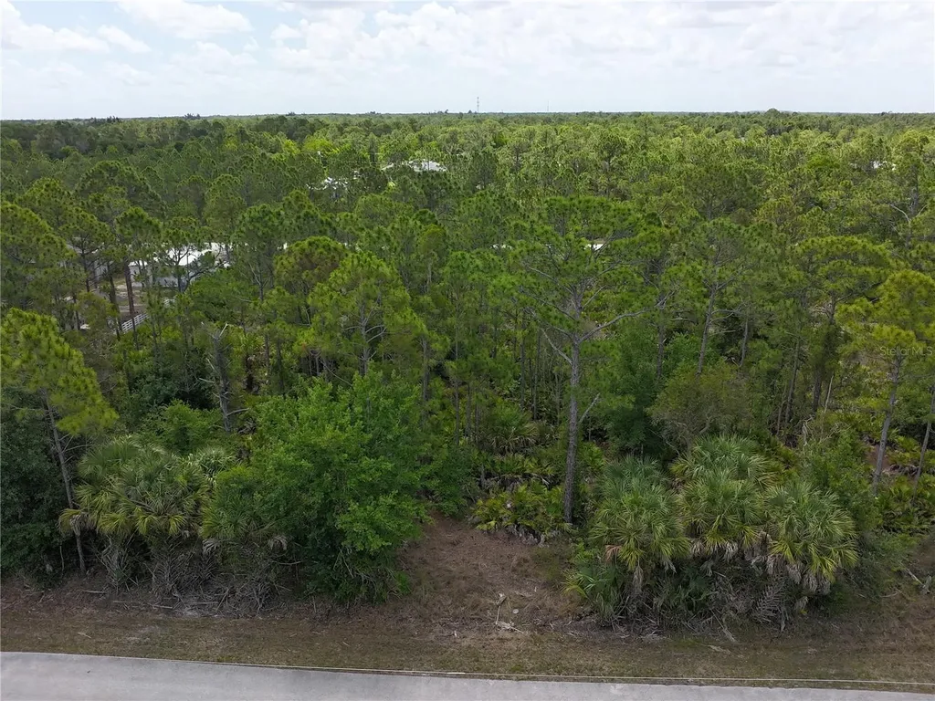 12226 Ripple Drive Punta Gorda FL 33955