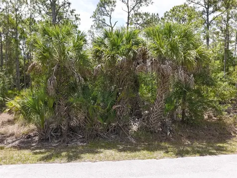 12226 Ripple Drive Punta Gorda FL 33955