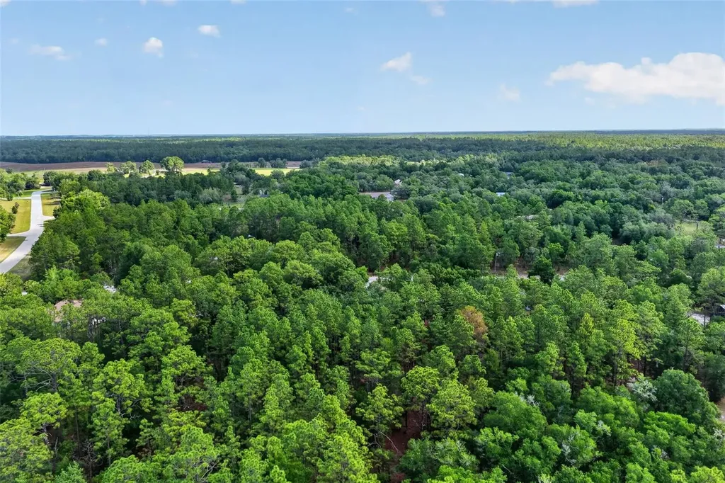 18018 SW 68th Loop Dunnellon FL 34432