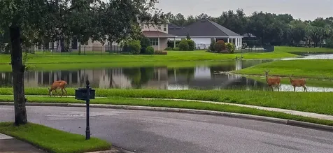 11437 Wakeworth Street Orlando FL 32836