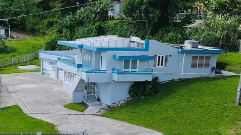 172 Km, Hm 3.3 Bo Canaboncito Caguas PR 00725