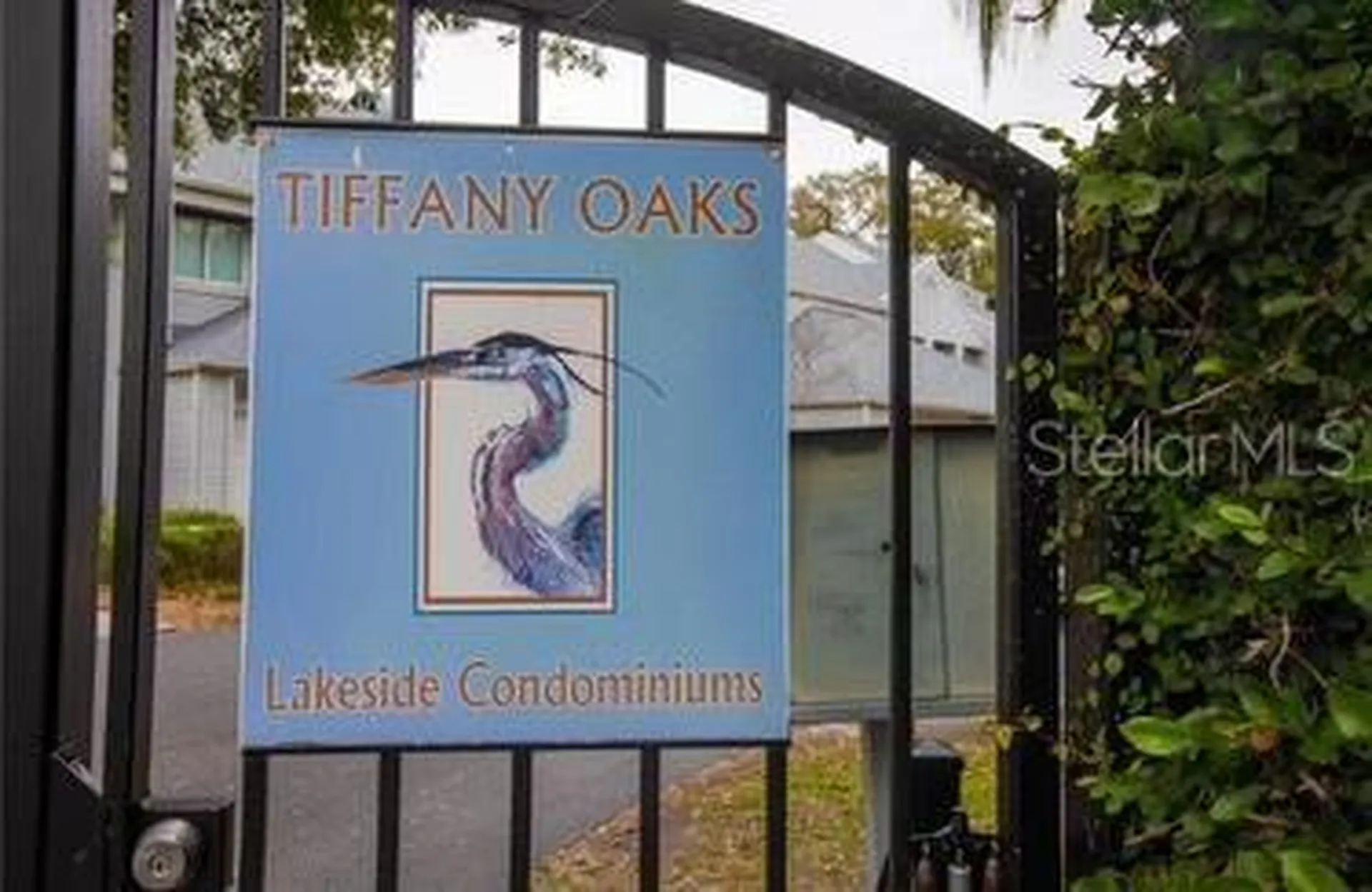 9726 Tiffany Oaks Lane Tampa FL 33612