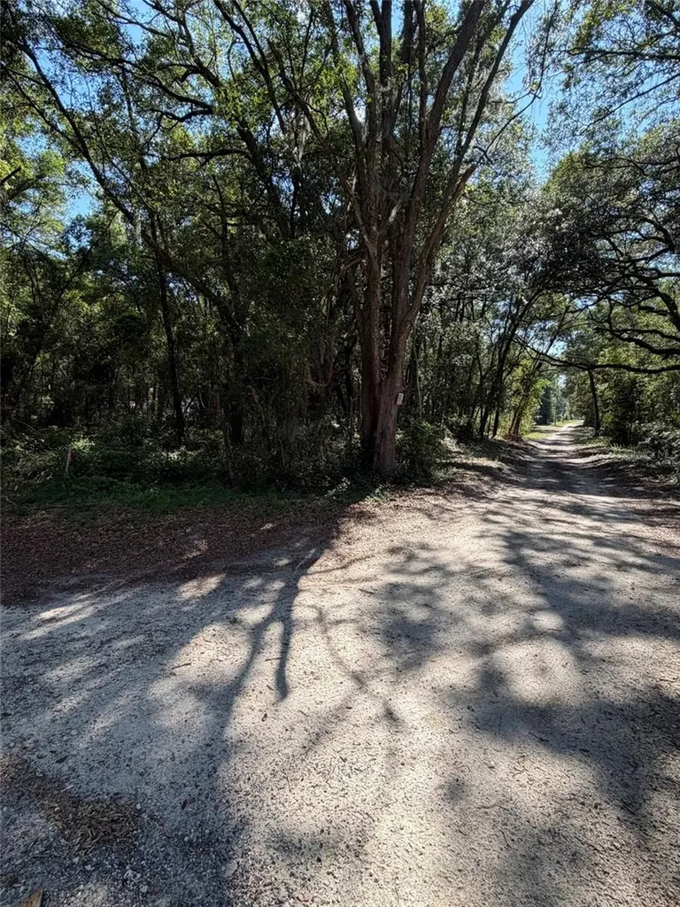 0 SW 146th Place Dunnellon FL 34432