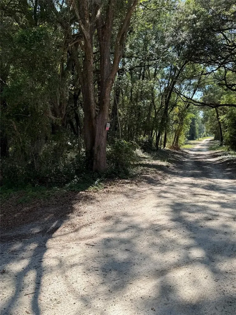 0 SW 146th Place Dunnellon FL 34432