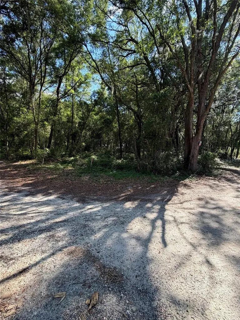 0 SW 146th Place Dunnellon FL 34432