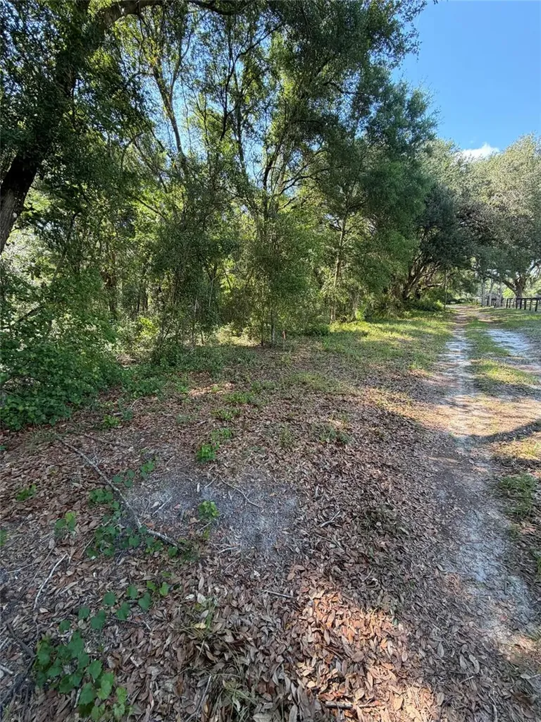 0 SW 146th Place Dunnellon FL 34432