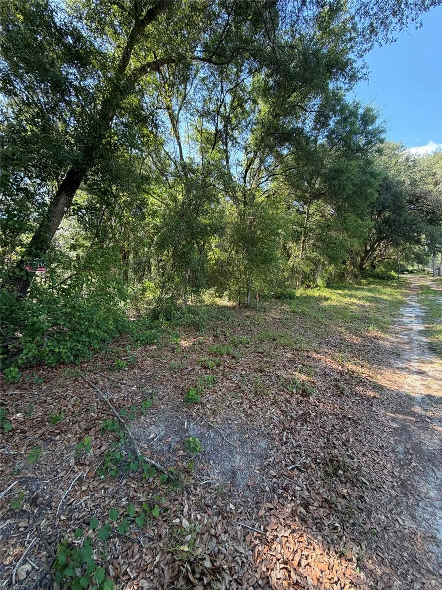 0 SW 146th Place Dunnellon FL 34432