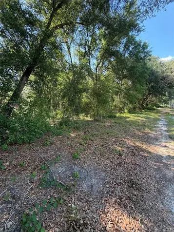 0 SW 146th Place Dunnellon FL 34432