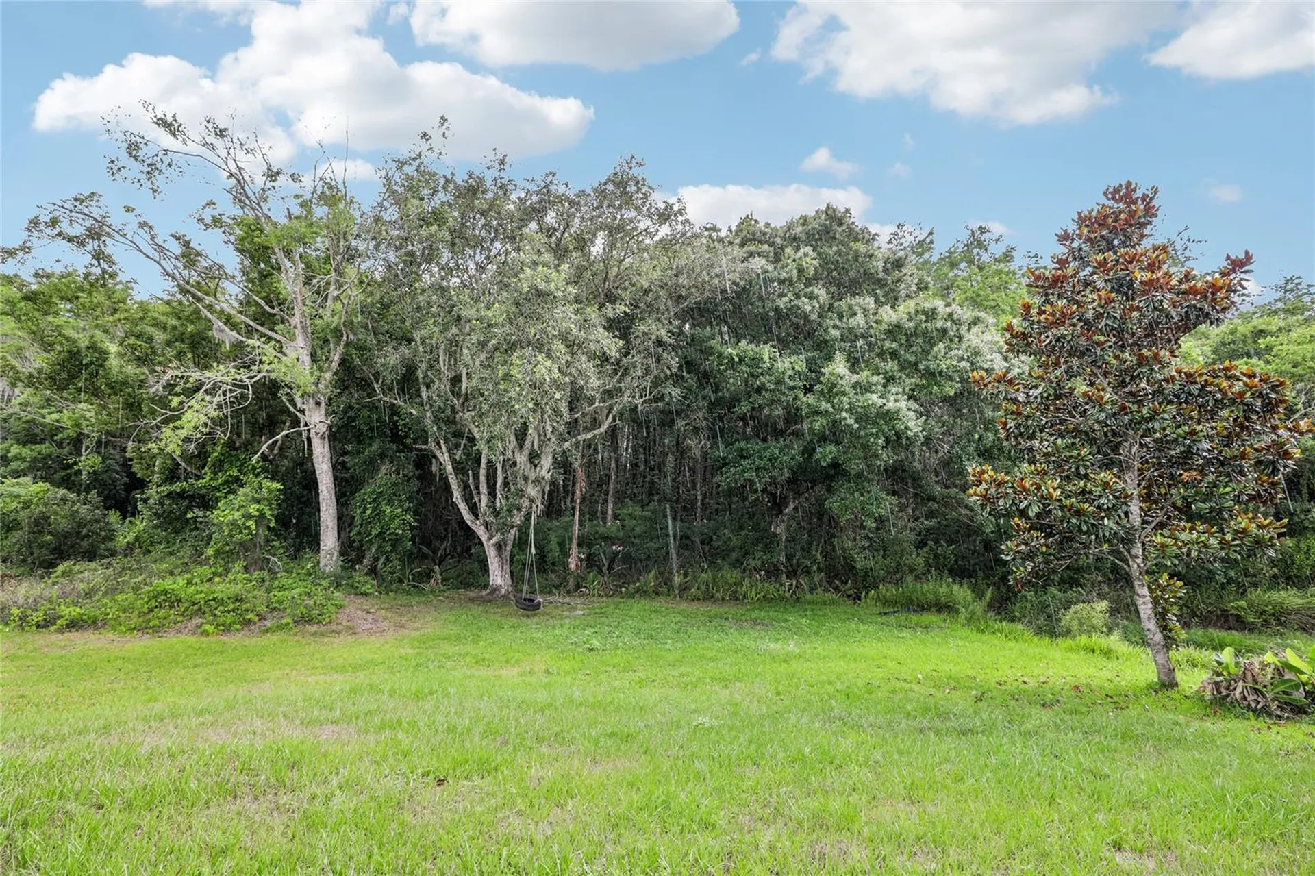 1982 Locust Berry Drive Kissimmee FL 34743