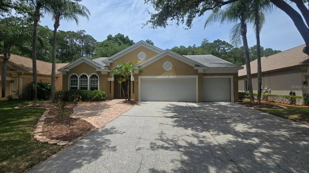 4602 Enright Drive Palm Harbor FL 34685