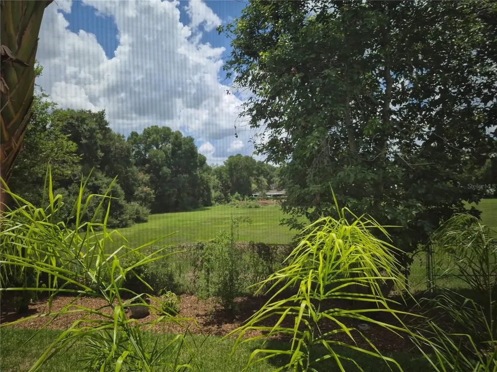 1224 Carriage Park Drive Valrico FL 33594