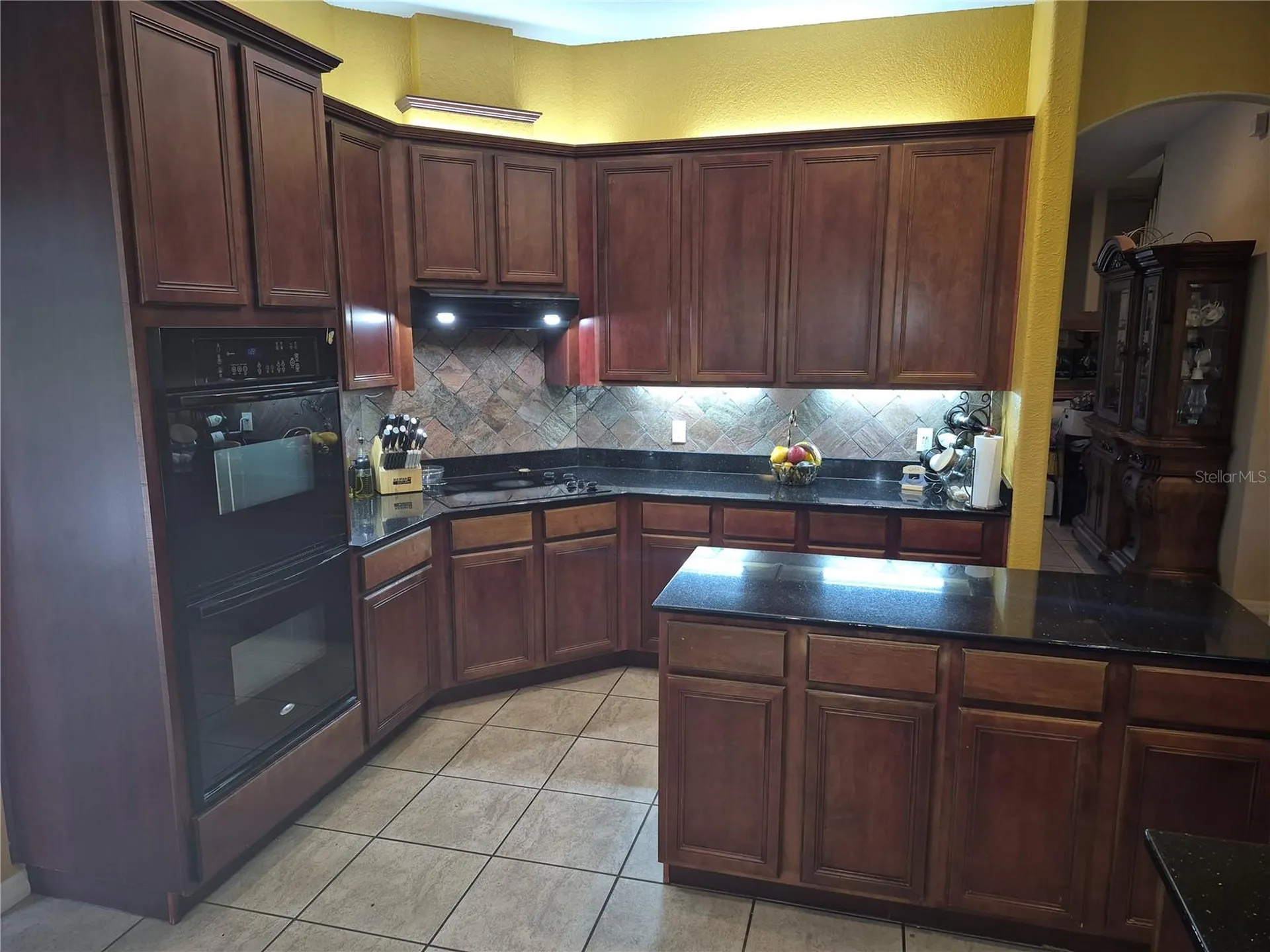1224 Carriage Park Drive Valrico FL 33594