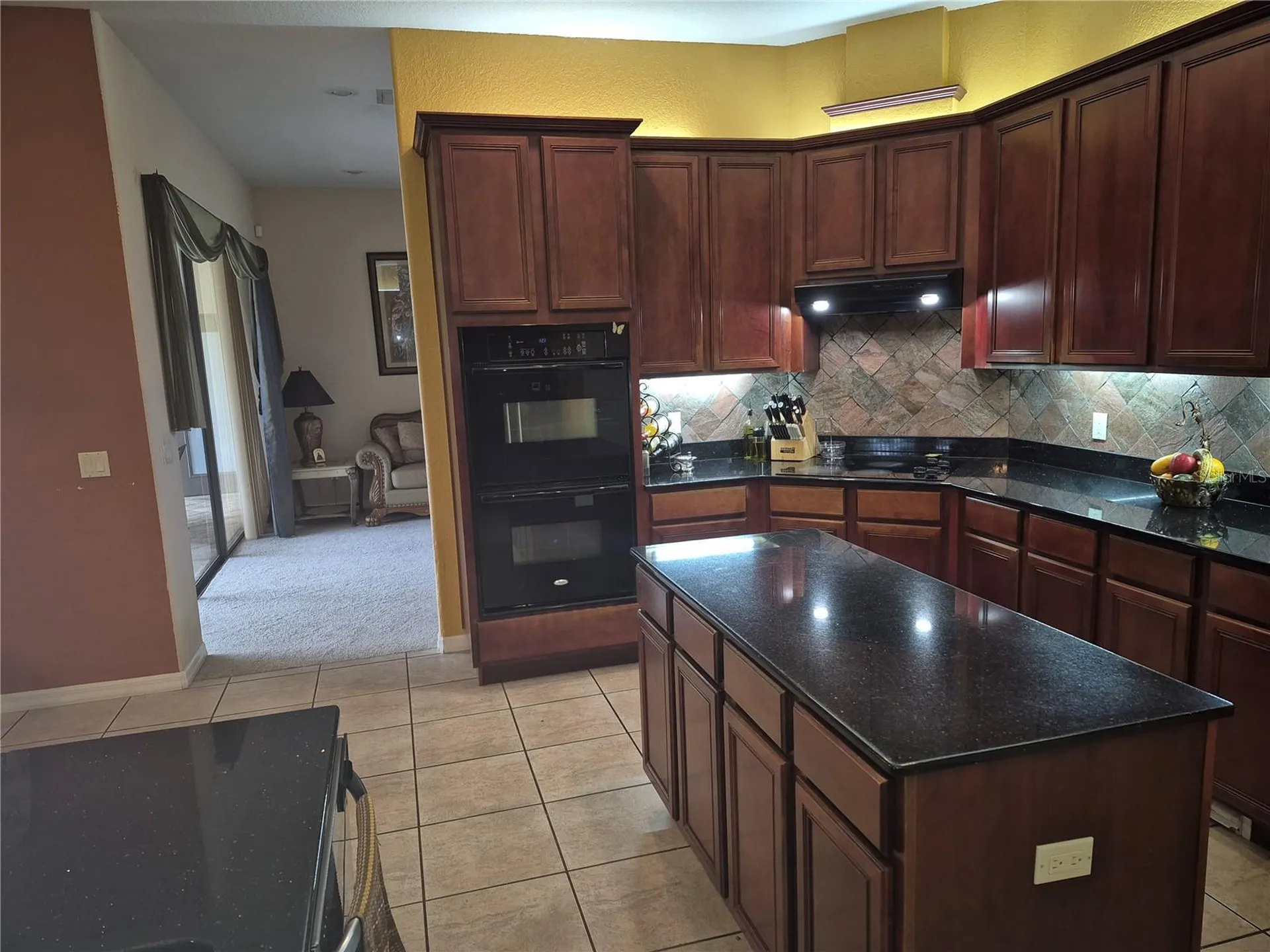 1224 Carriage Park Drive Valrico FL 33594
