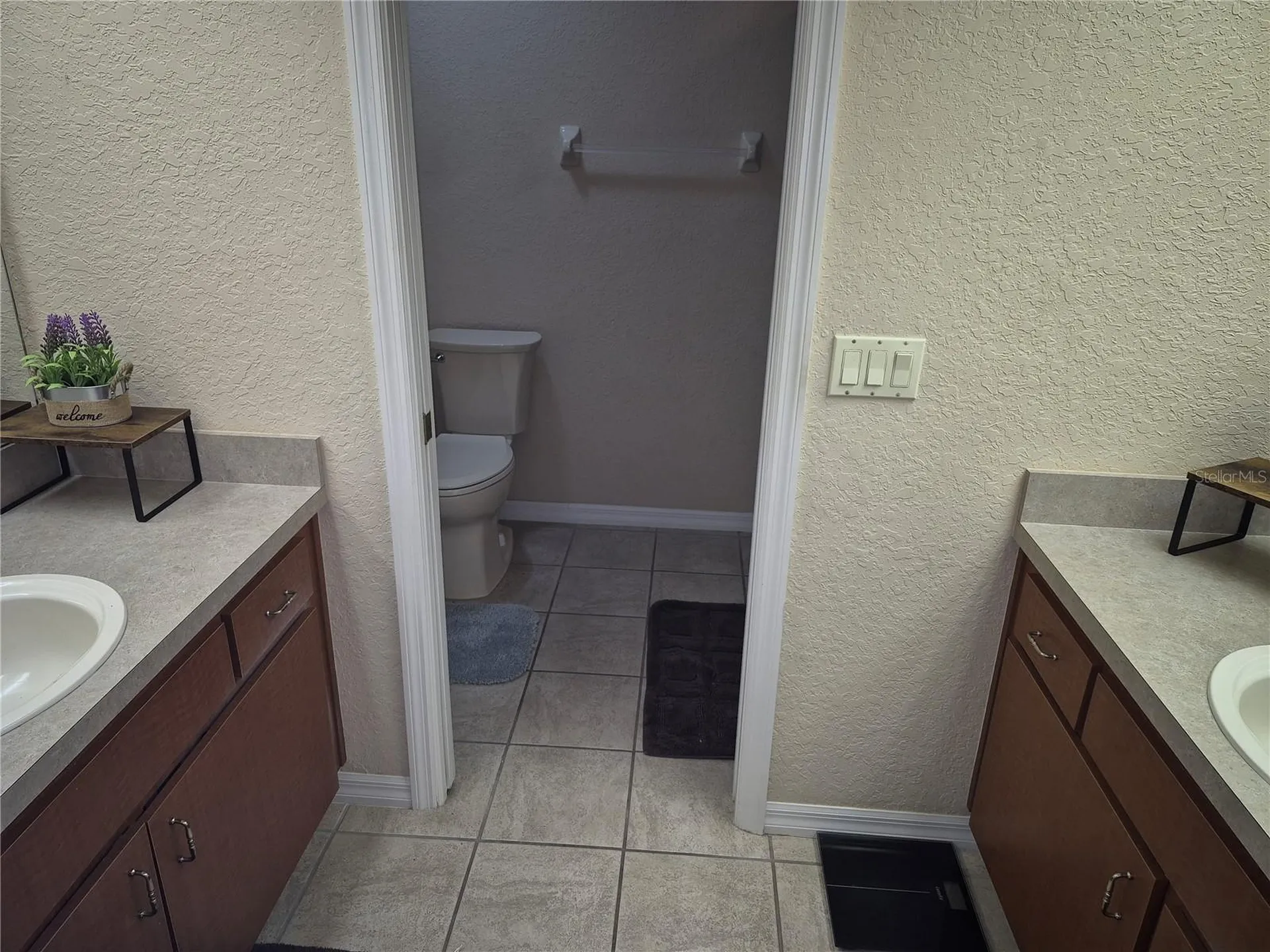 1224 Carriage Park Drive Valrico FL 33594