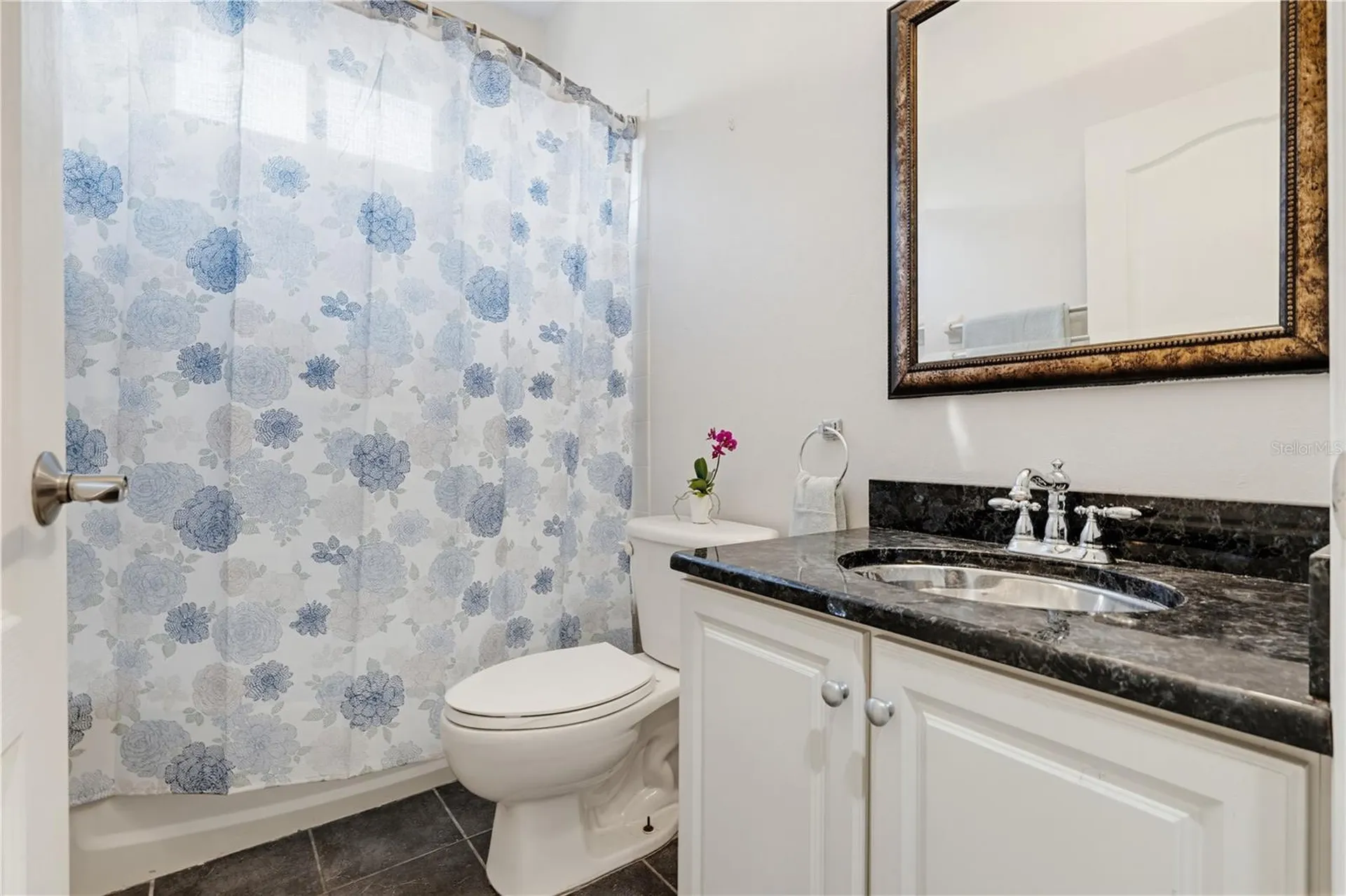 10842 Wild Cotton Court Land O Lakes FL 34638