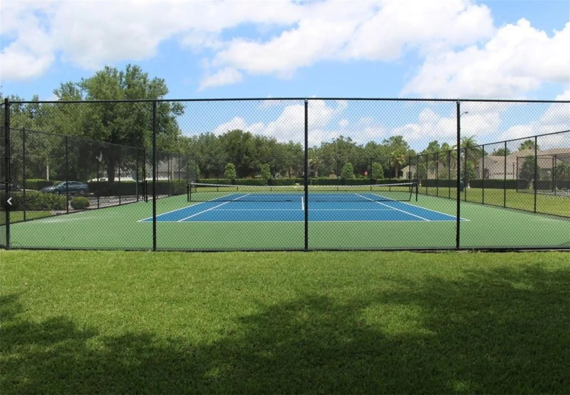 10842 Wild Cotton Court Land O Lakes FL 34638