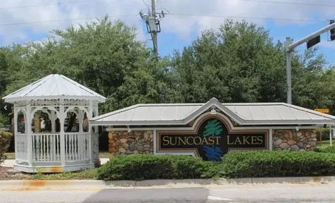 10842 Wild Cotton Court Land O Lakes FL 34638