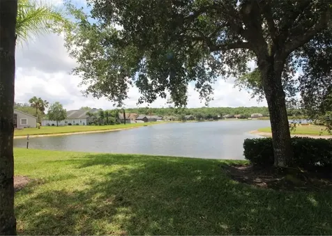 10842 Wild Cotton Court Land O Lakes FL 34638