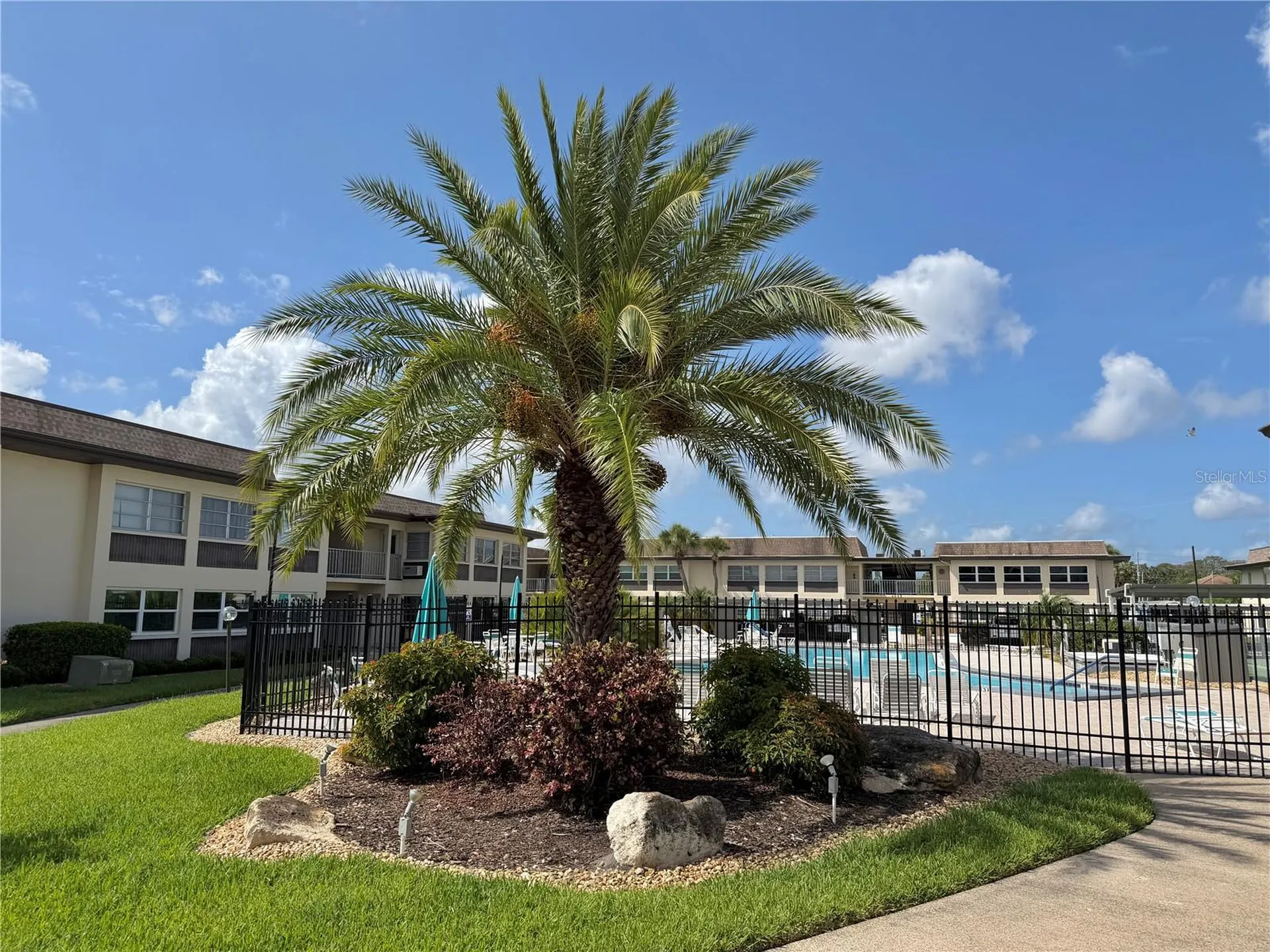 5108 Amulet Drive New Port Richey FL 34652