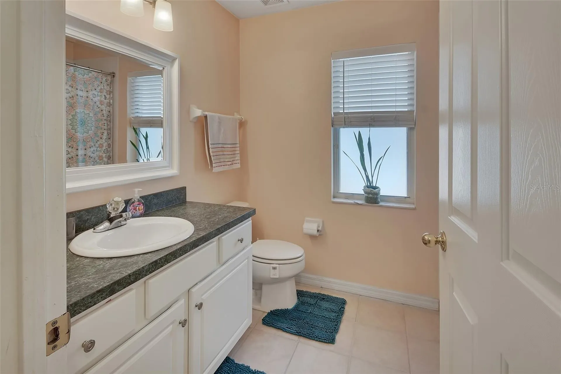 2446 Alton Road Deltona FL 32738