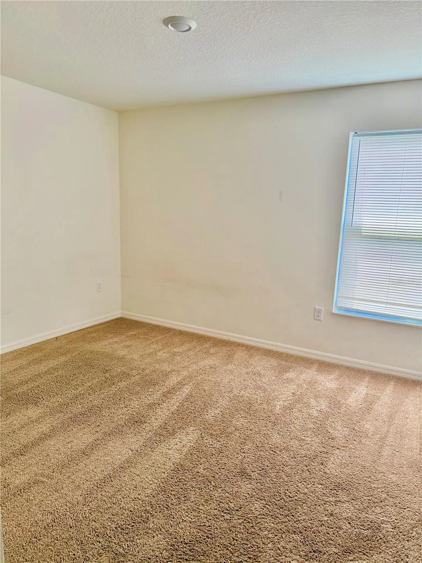 1738 Wynford Circle Tavares FL 32778
