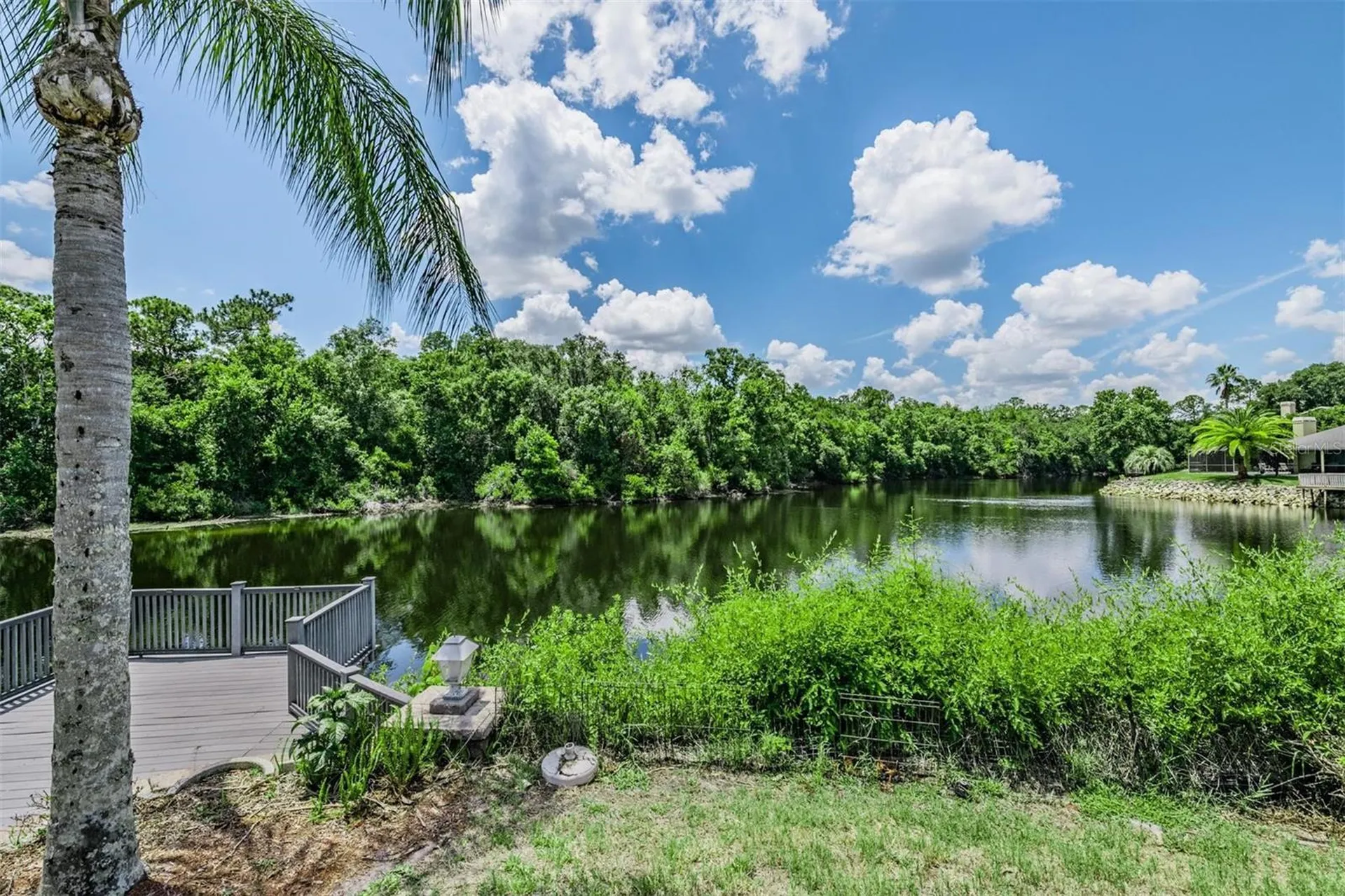 3817 Nicholas Court Tarpon Springs FL 34688