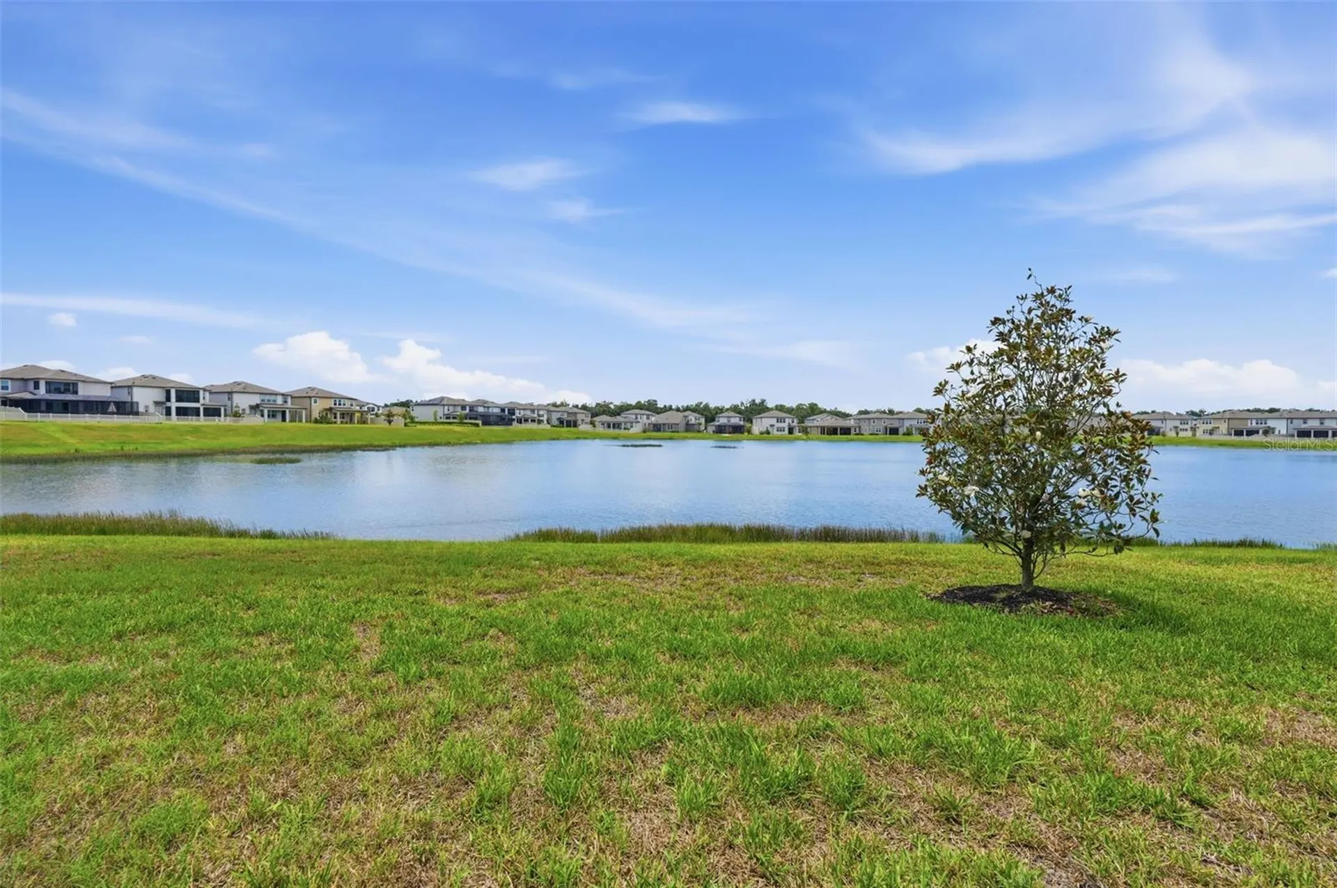 5059 Bromeliad Avenue Wimauma FL 33598