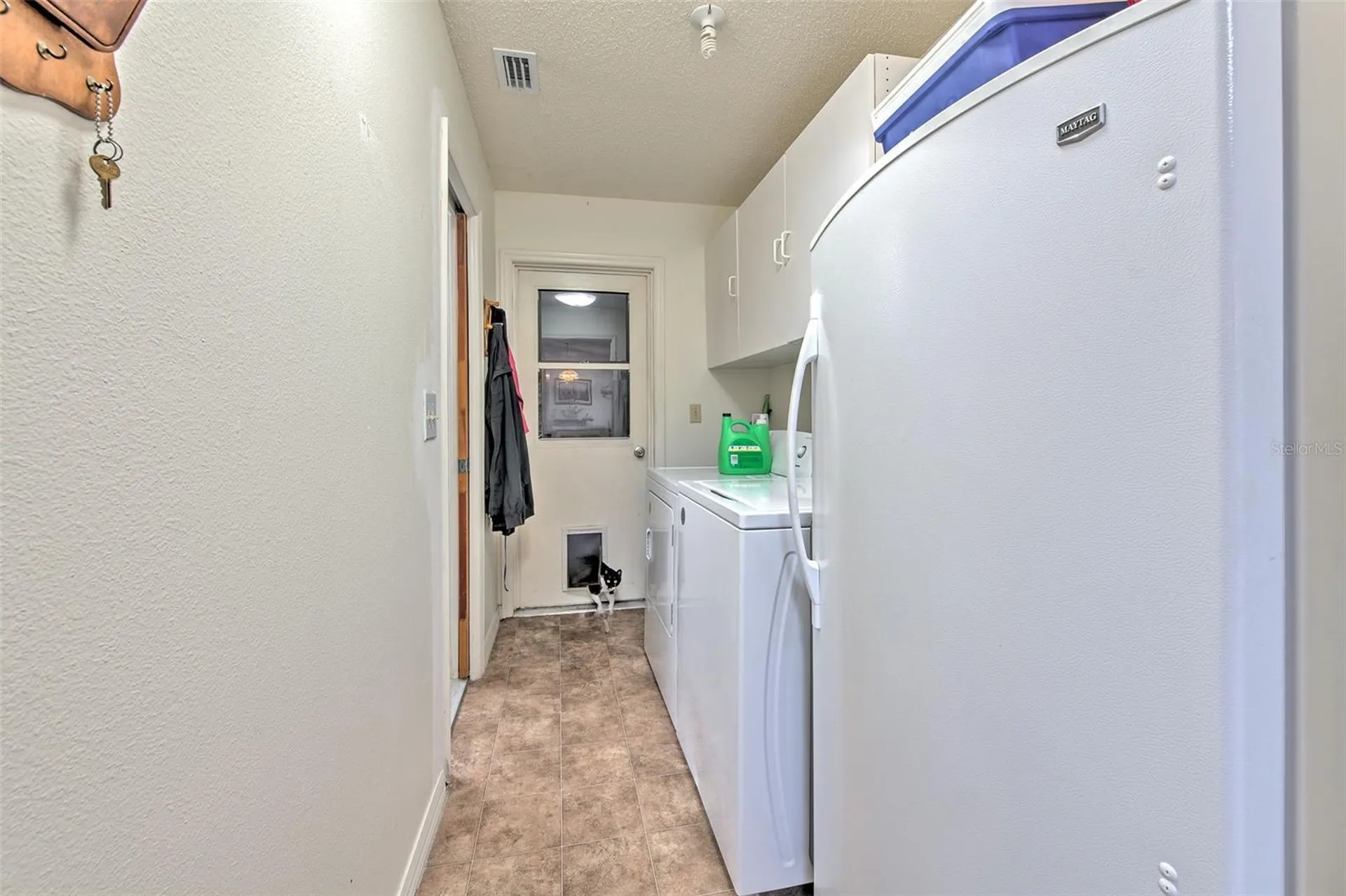 38620 Alpha Avenue Zephyrhills FL 33540