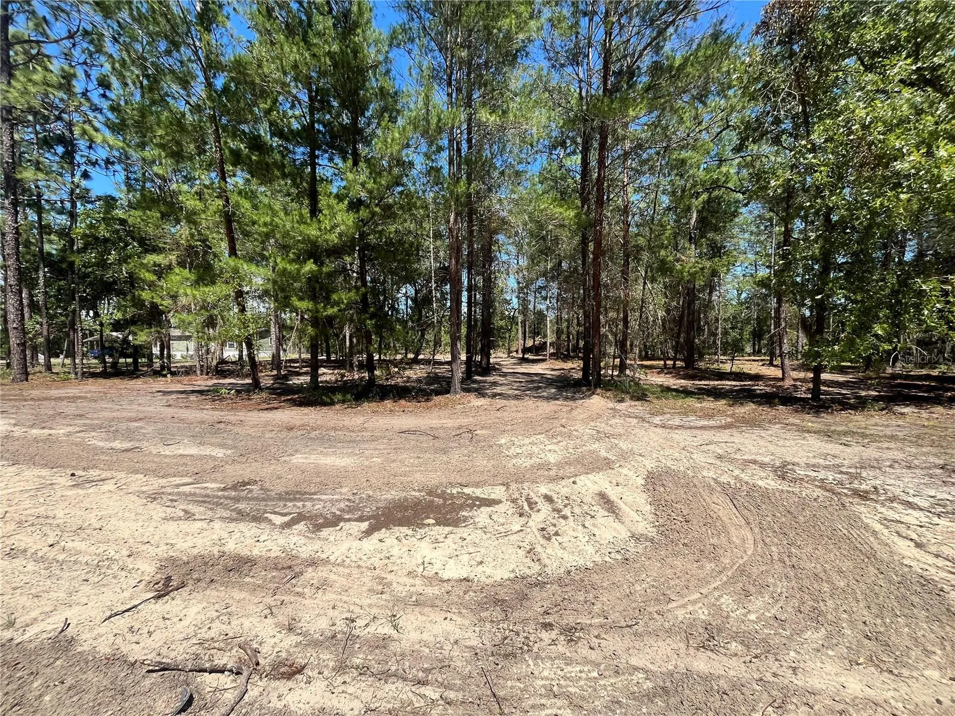 219 Magnolia Road Hawthorne FL 32640