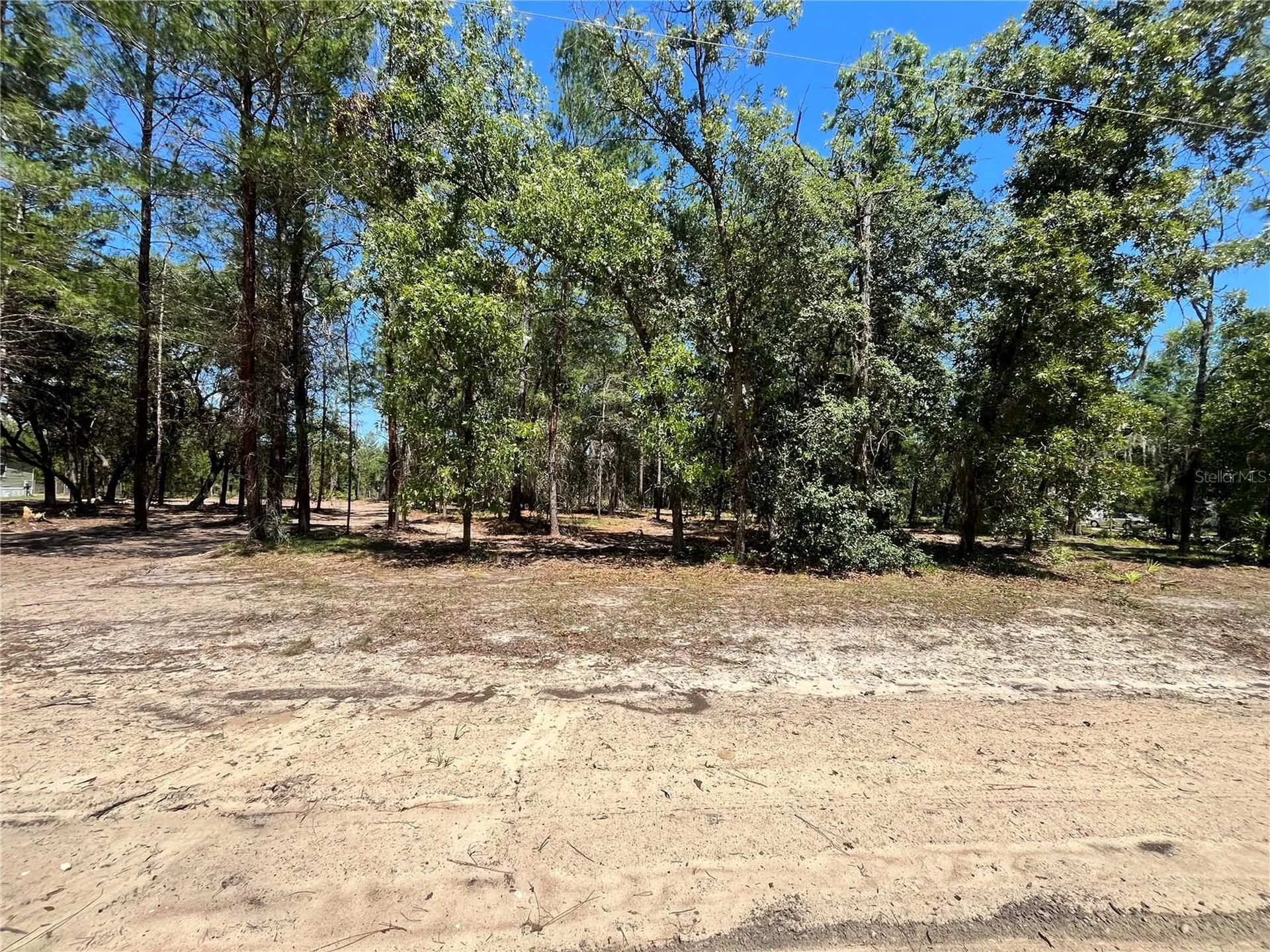 219 Magnolia Road Hawthorne FL 32640