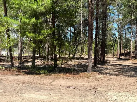 219 Magnolia Road Hawthorne FL 32640