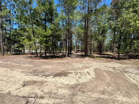 219 Magnolia Road Hawthorne FL 32640