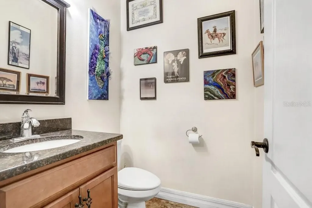 15723 Starling Water Drive Lithia FL 33547