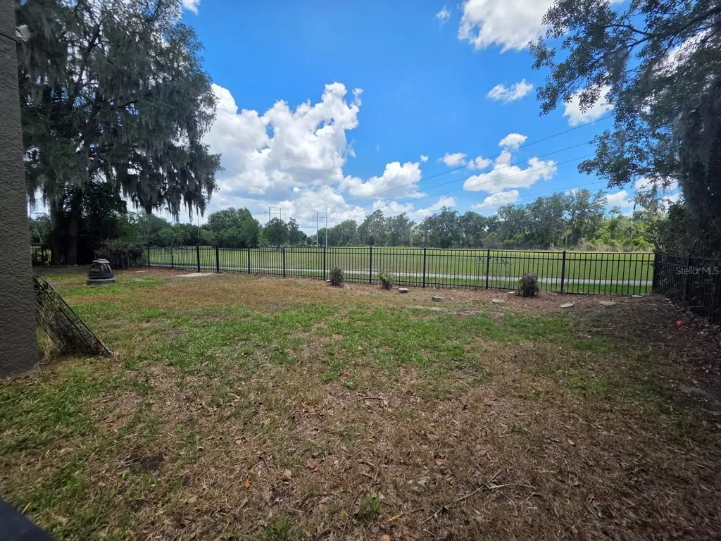 15723 Starling Water Drive Lithia FL 33547
