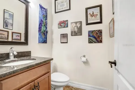 15723 Starling Water Drive Lithia FL 33547