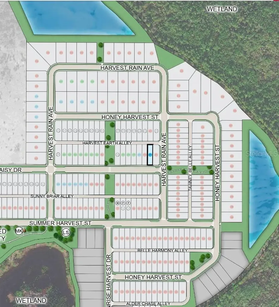 14731 Field Daisy Drive Winter Garden FL 34787