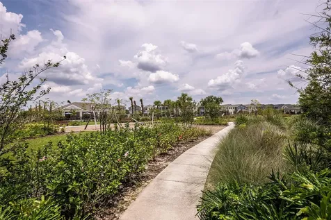 14731 Field Daisy Drive Winter Garden FL 34787
