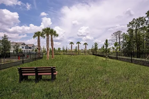 14731 Field Daisy Drive Winter Garden FL 34787