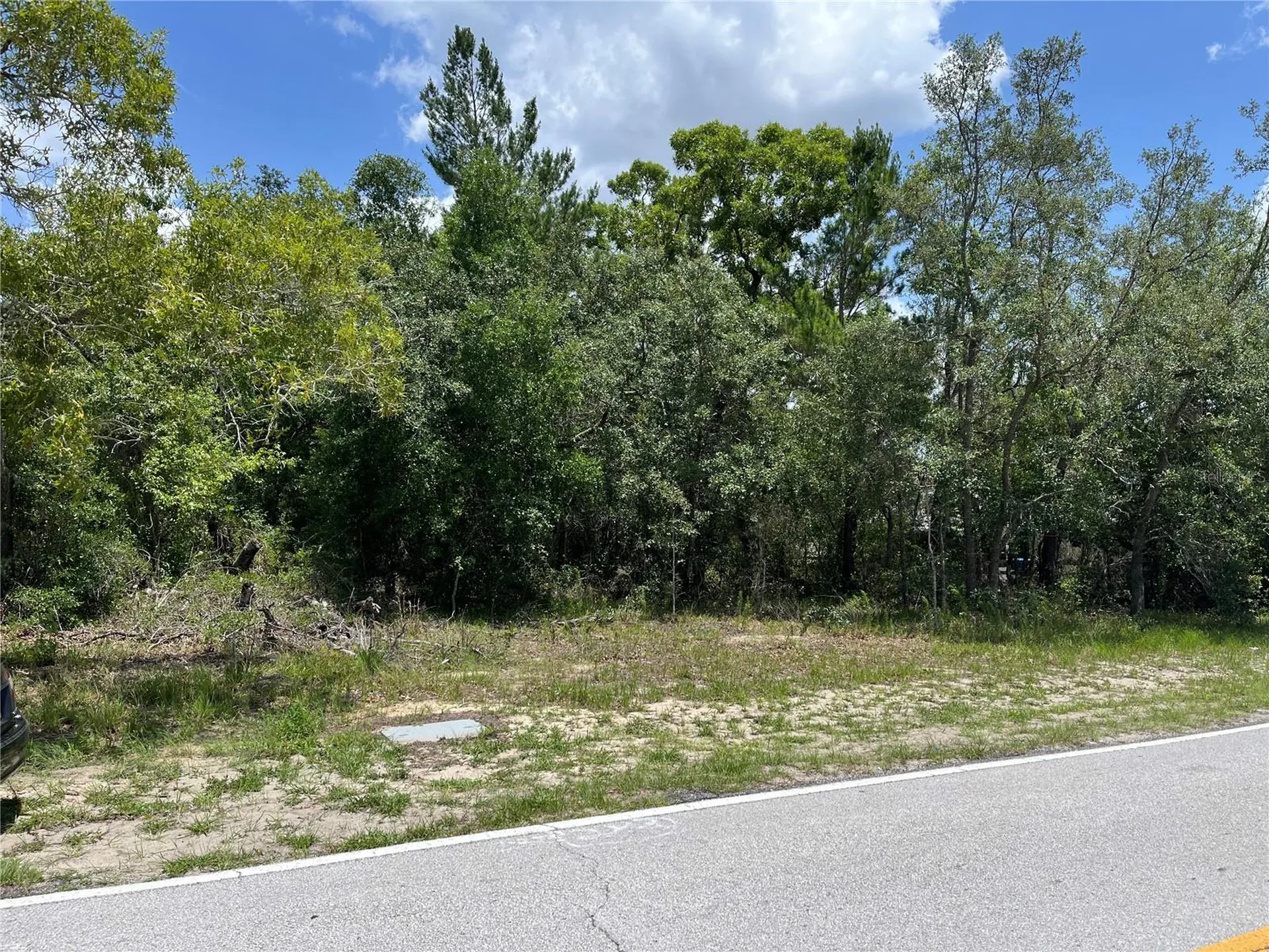 Pinehurst Drive Spring Hill FL 34606
