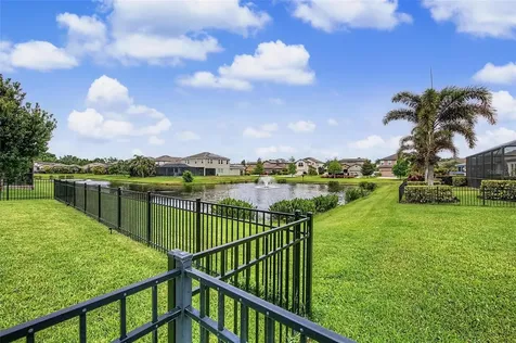 11523 Navel Orange Way Tampa FL 33626