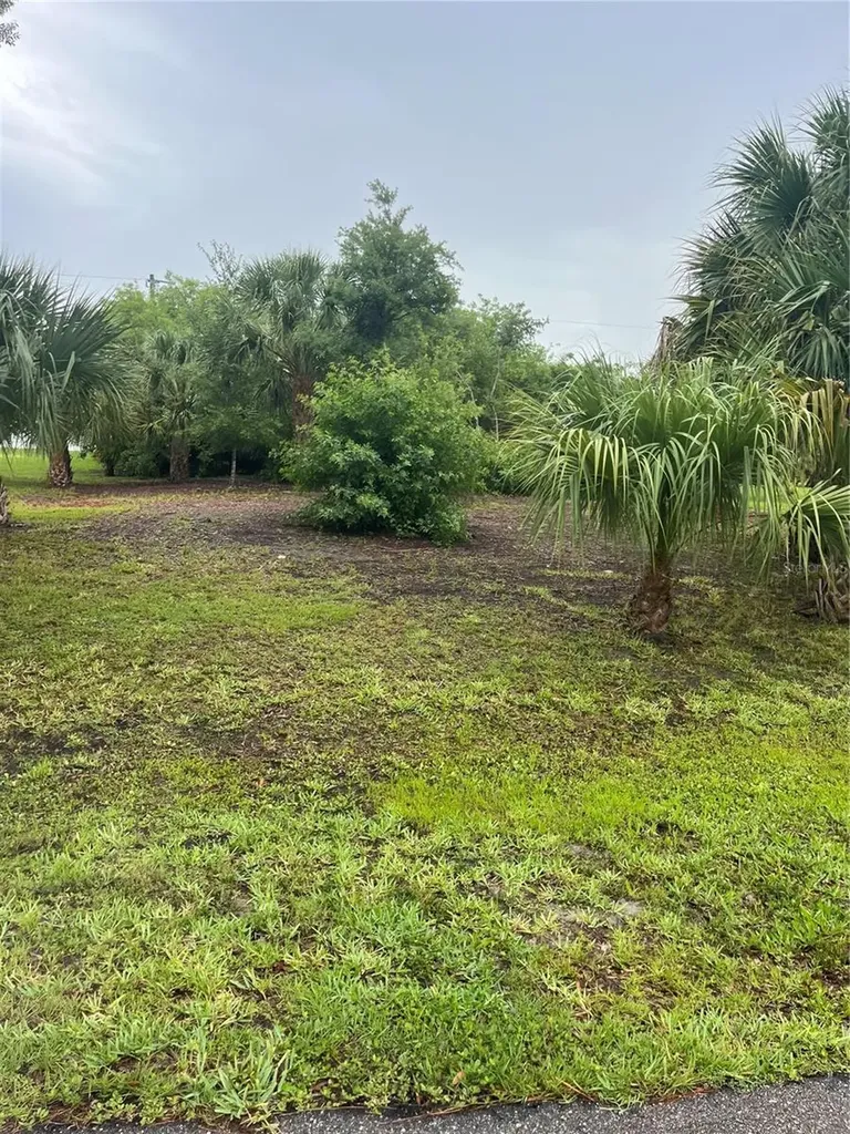 23084 August Avenue Port Charlotte FL 33954