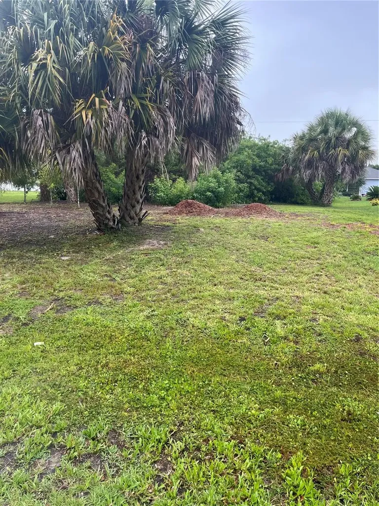 23084 August Avenue Port Charlotte FL 33954